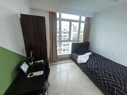 Leedon 2 (D10), Condominium #517968461